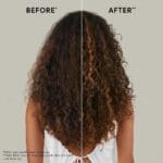 6fa60d9WELLA00000042_1 (2)