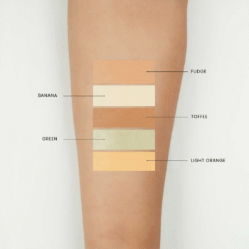 Makeup Studio Concealer Palette - EP056
